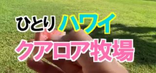クアロアランチ(牧場)ひとりハワイの楽しみ方
