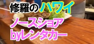 ノースショアドライブの旅 修羅のハワイ