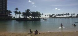 【帝】『冬の蟻 ハワイの島で 浜に寝る』ハワイで「気功法」充電2時間、同じ南国なのにここまで違うとは・・・